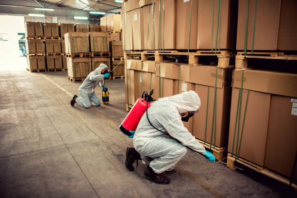 Best Local Pest Control Services  in Flomaton, AL