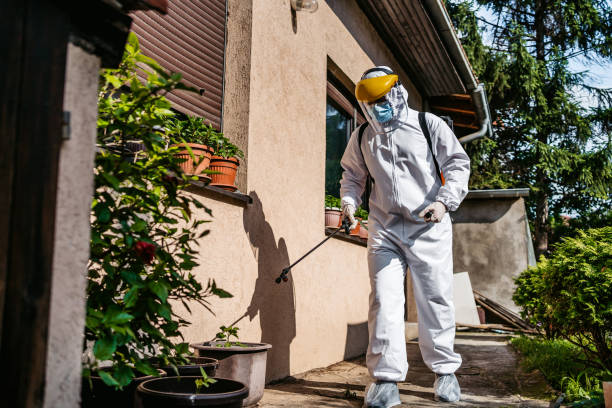 Best Wildlife Control Services  in Flomaton, AL