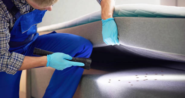 Best Affordable Pest Control Services  in Flomaton, AL