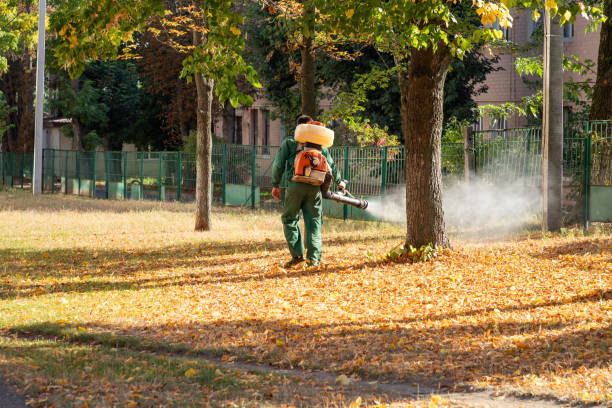 Best Pest Prevention Services  in Flomaton, AL