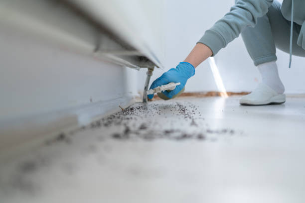 Best Insect Control  in Flomaton, AL
