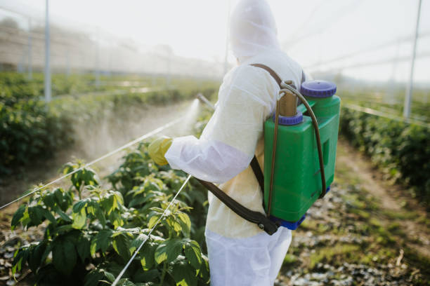Best Mosquito Control Services  in Flomaton, AL